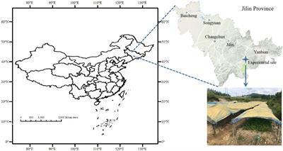 More microbial manipulation and plant defense than soil fertility for biochar in food production: A field experiment of replanted ginseng with different biochars